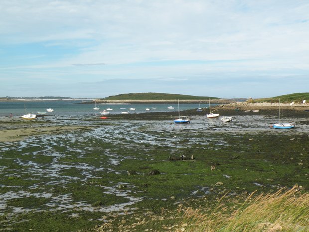  embarcations à marée basse